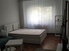 Mihai Bravu, Ferdinand