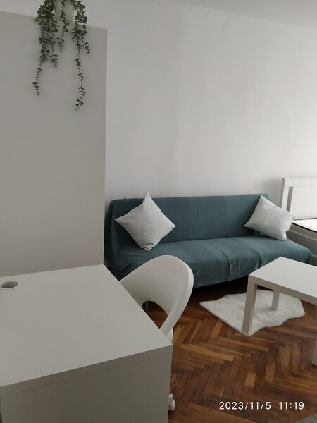 Mihai Bravu, Ferdinand,