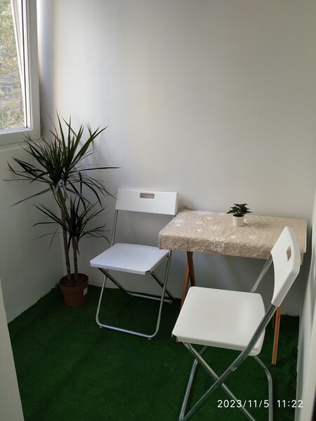 Mihai Bravu, Ferdinand,