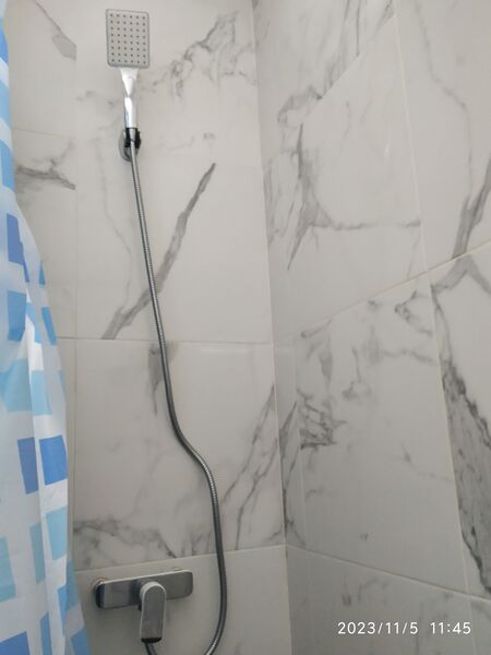 Mihai Bravu, Ferdinand,