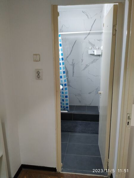 Mihai Bravu, Ferdinand,